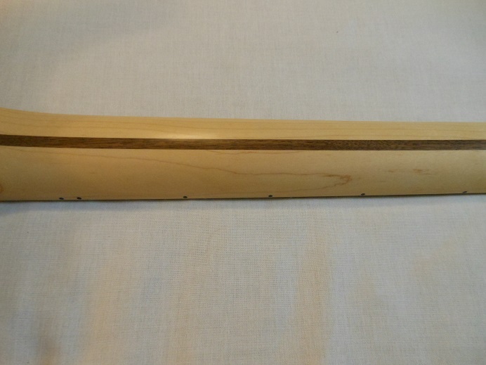 Mod Shop Telecaster Picture 6